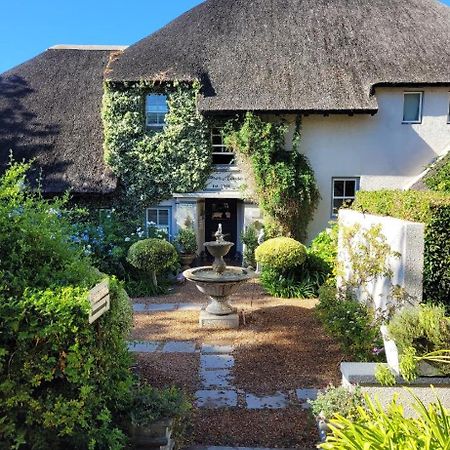 In The Vine Country Manor Guesthouse ستيلينبوش المظهر الخارجي الصورة