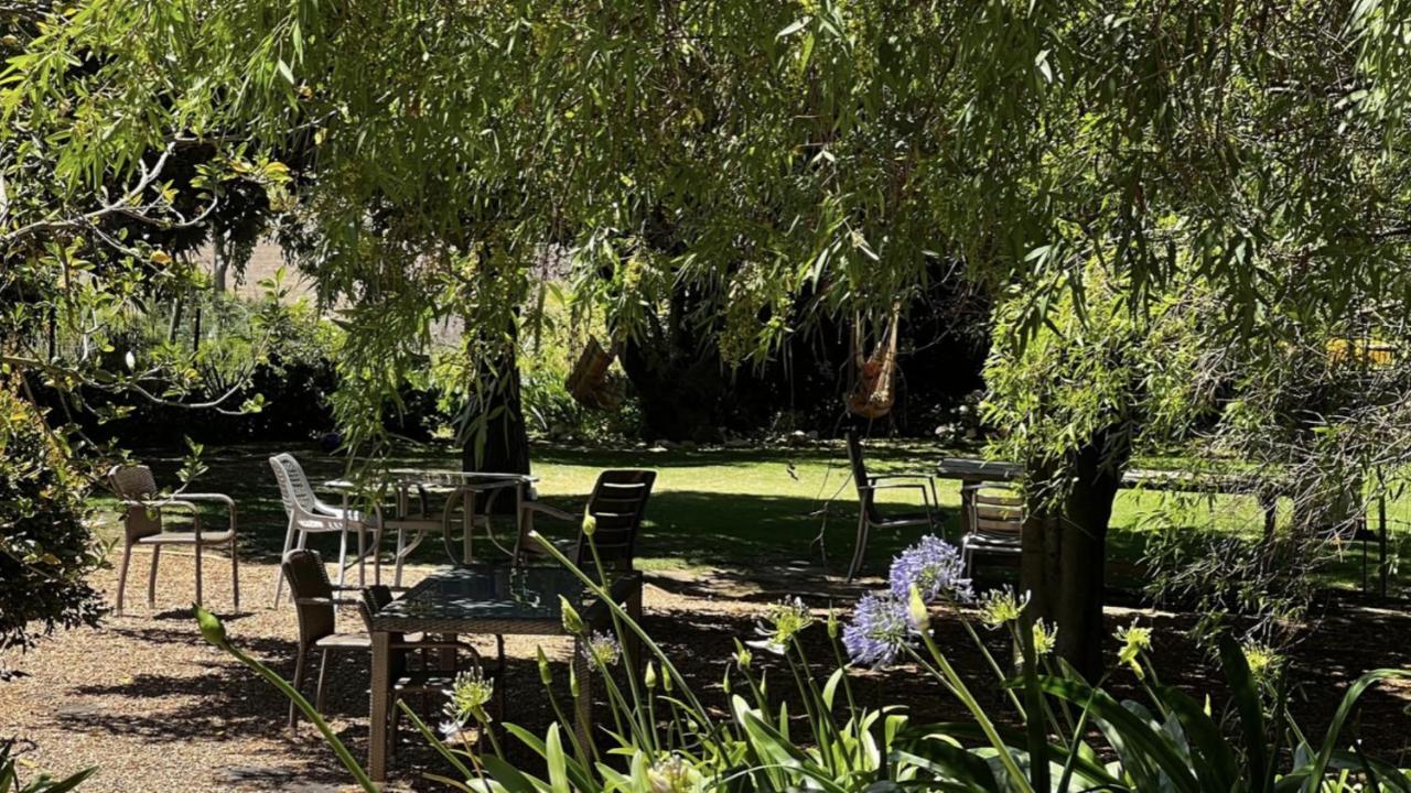 In The Vine Country Manor Guesthouse ستيلينبوش المظهر الخارجي الصورة