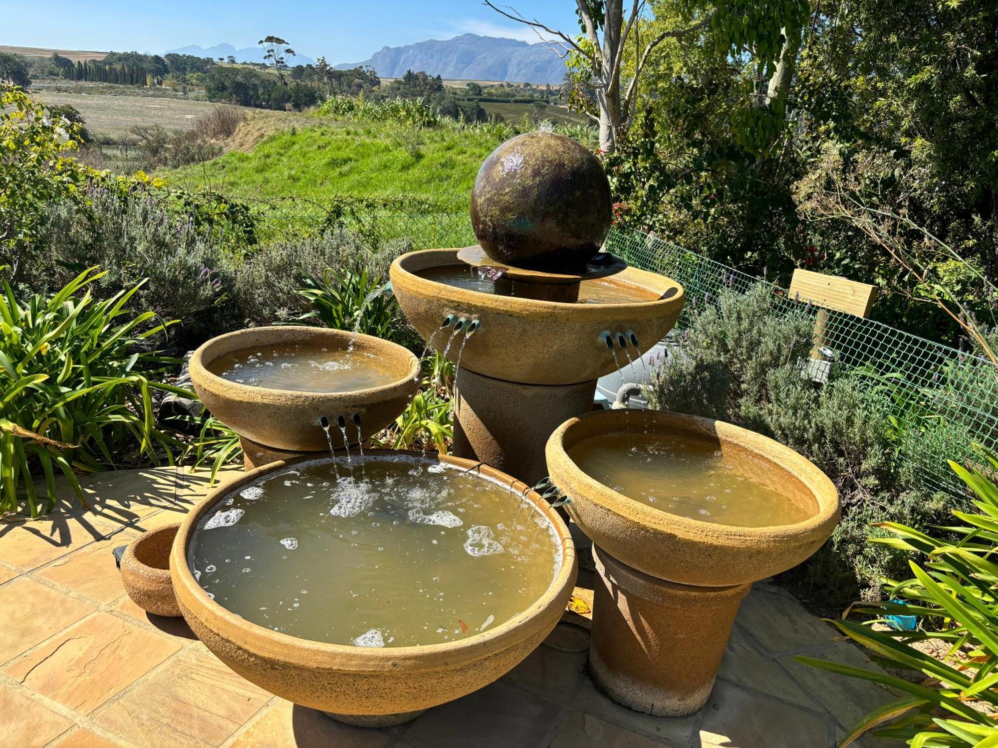 In The Vine Country Manor Guesthouse ستيلينبوش المظهر الخارجي الصورة