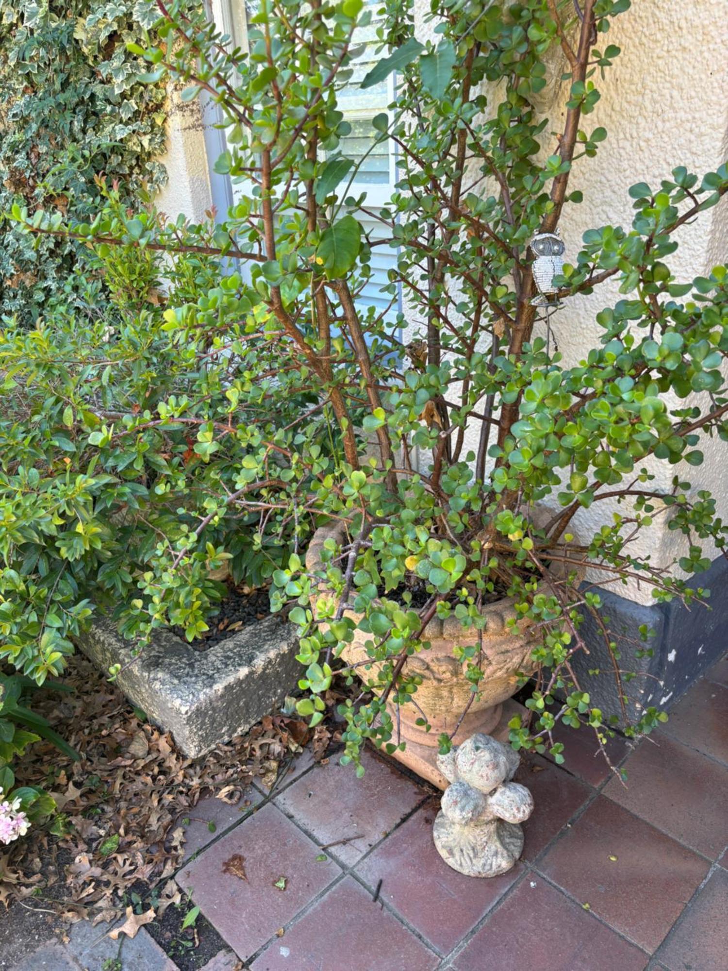 In The Vine Country Manor Guesthouse ستيلينبوش المظهر الخارجي الصورة