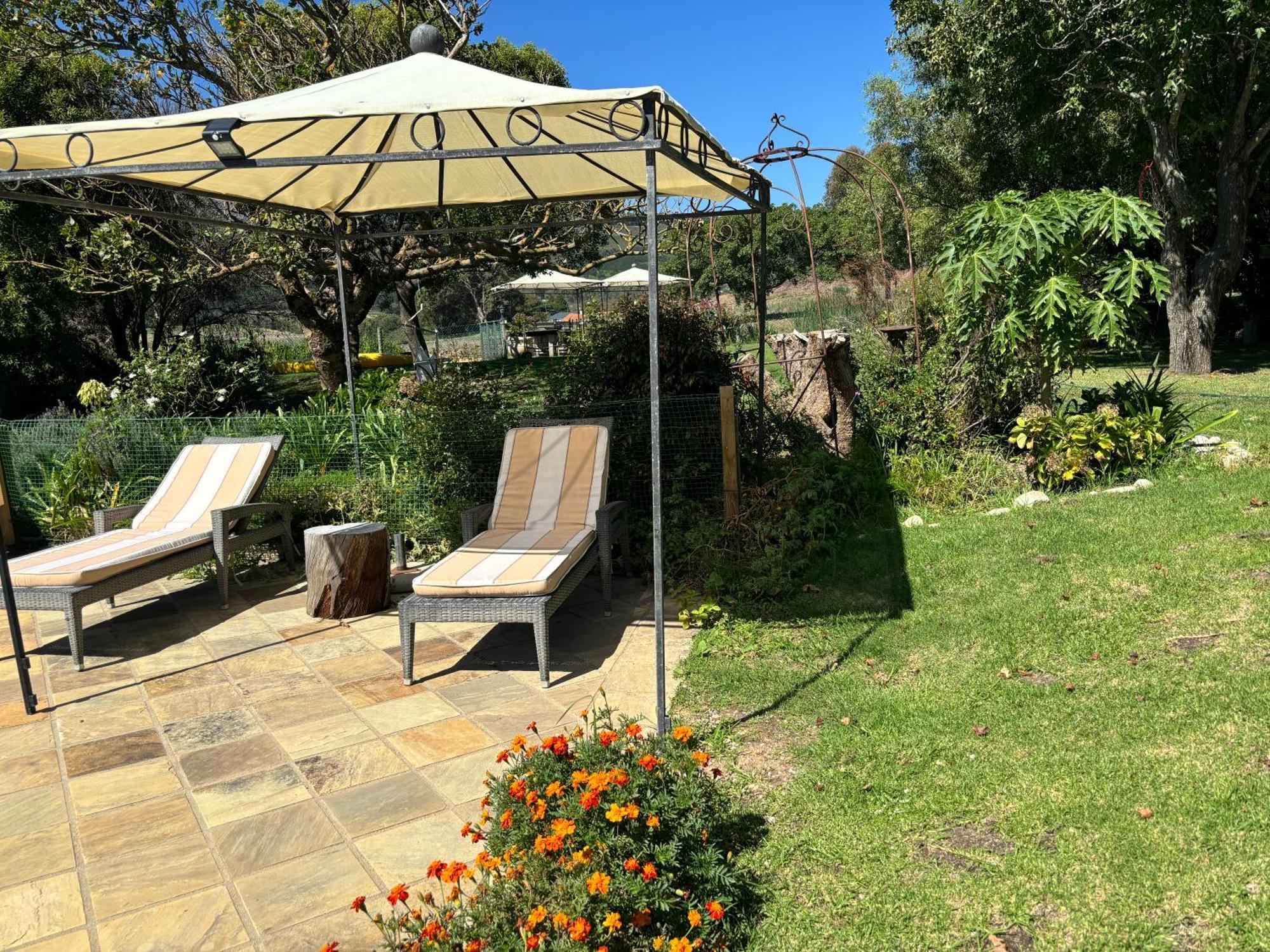 In The Vine Country Manor Guesthouse ستيلينبوش المظهر الخارجي الصورة