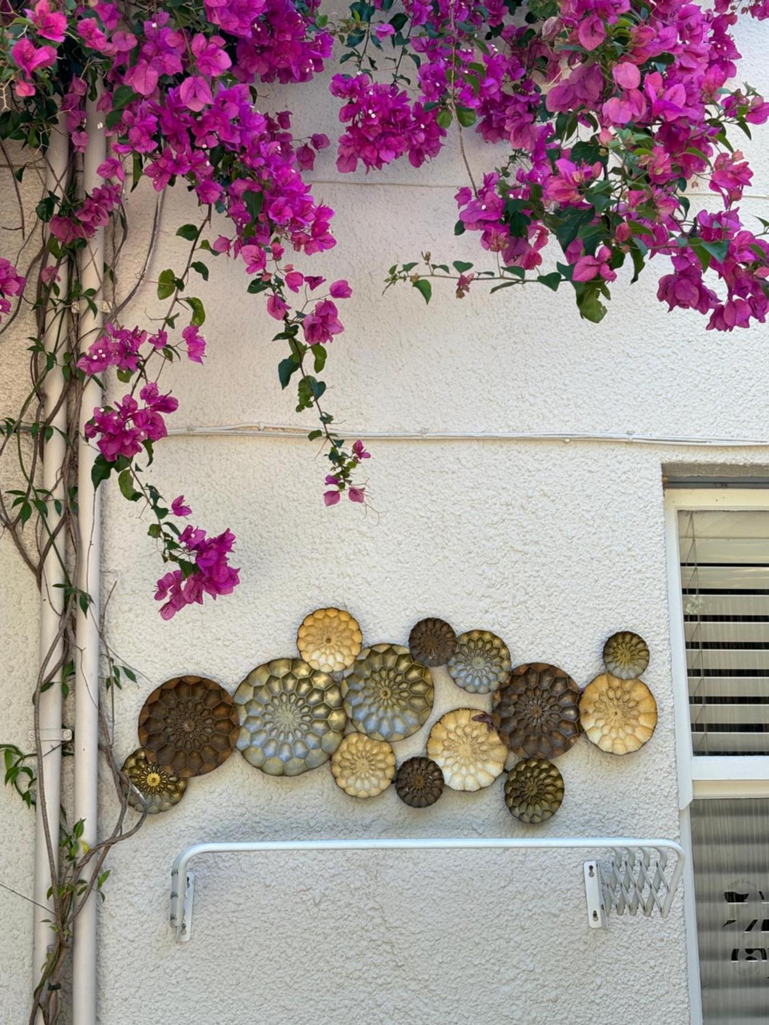 In The Vine Country Manor Guesthouse ستيلينبوش المظهر الخارجي الصورة