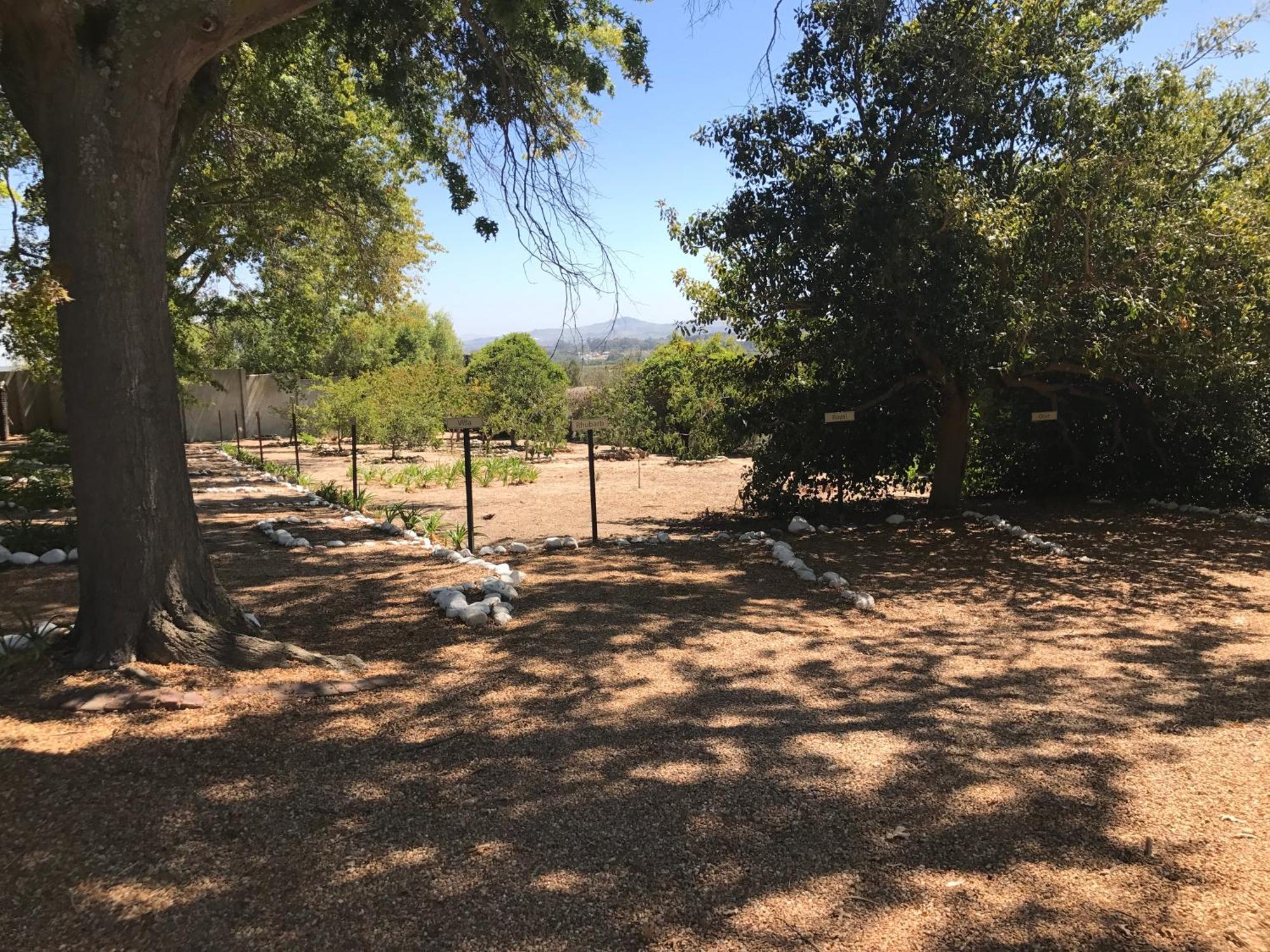 In The Vine Country Manor Guesthouse ستيلينبوش المظهر الخارجي الصورة