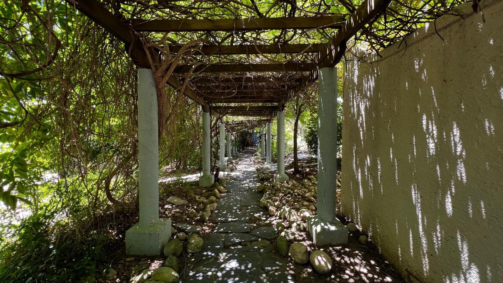 In The Vine Country Manor Guesthouse ستيلينبوش المظهر الخارجي الصورة