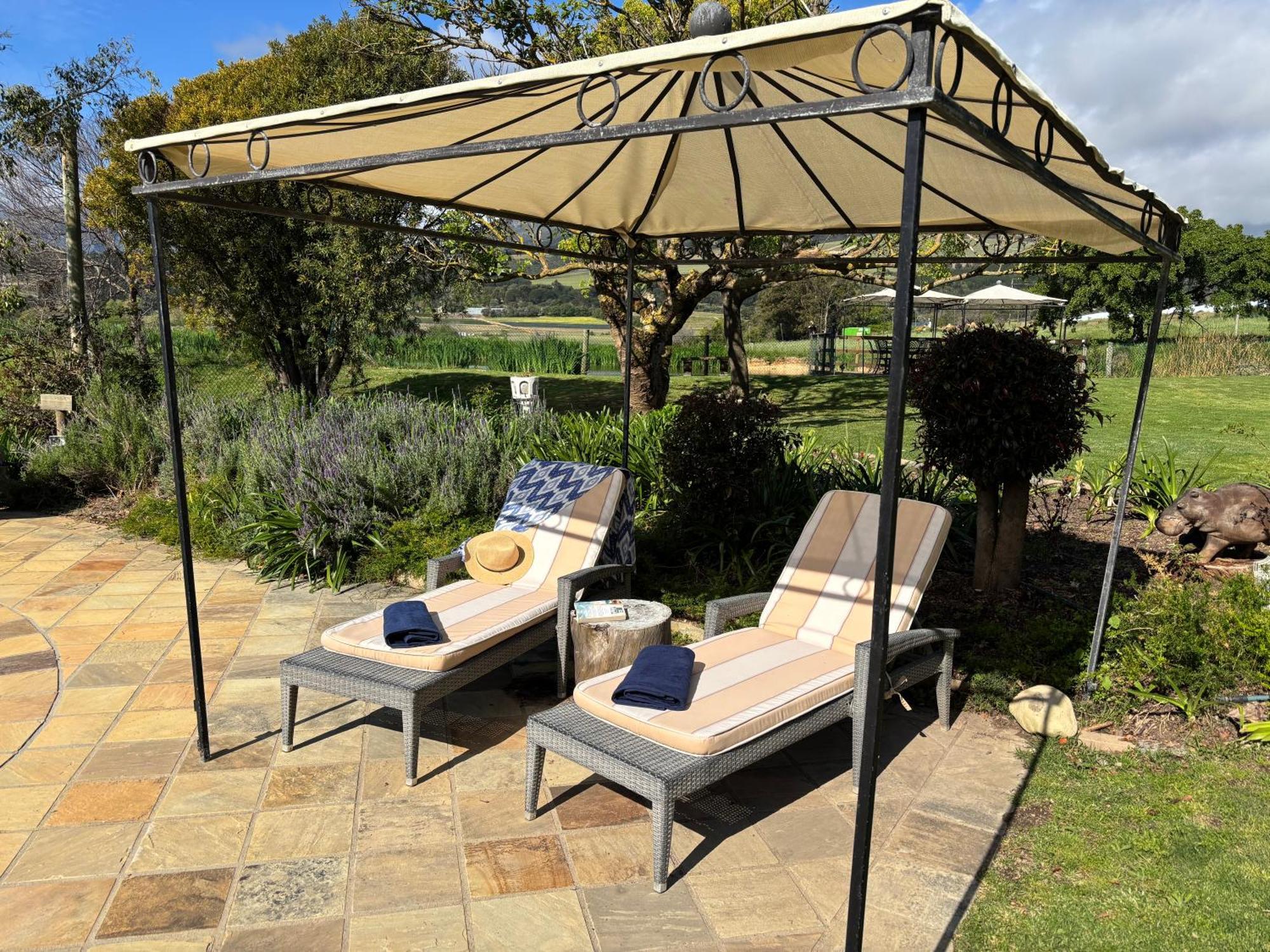 In The Vine Country Manor Guesthouse ستيلينبوش المظهر الخارجي الصورة