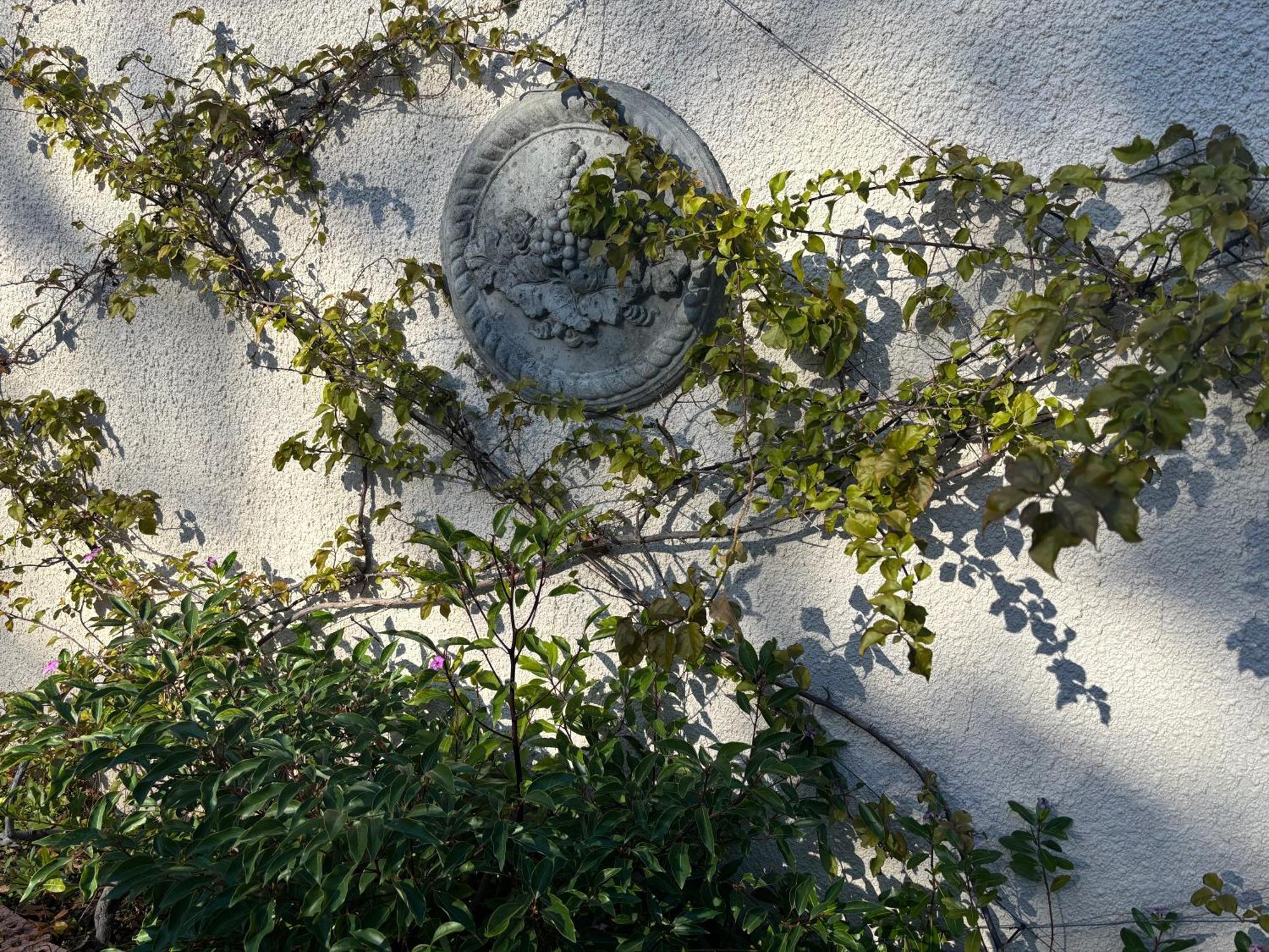 In The Vine Country Manor Guesthouse ستيلينبوش المظهر الخارجي الصورة